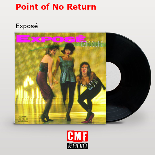 Point of No Return – Exposé