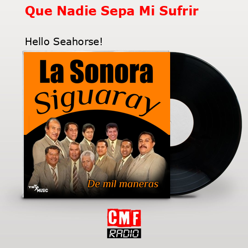 Que Nadie Sepa Mi Sufrir – Hello Seahorse!