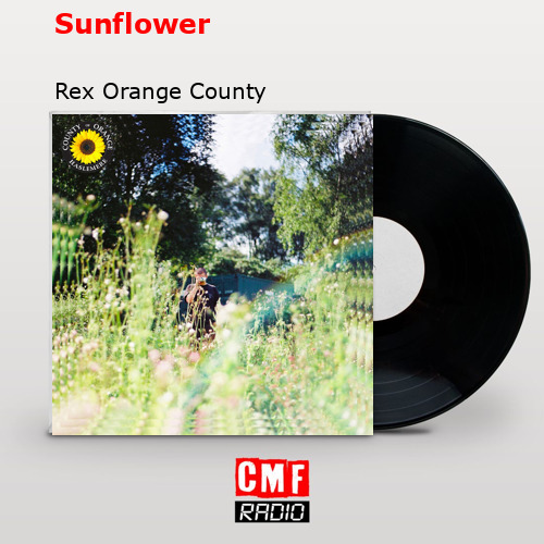 Sunflower – Rex Orange County
