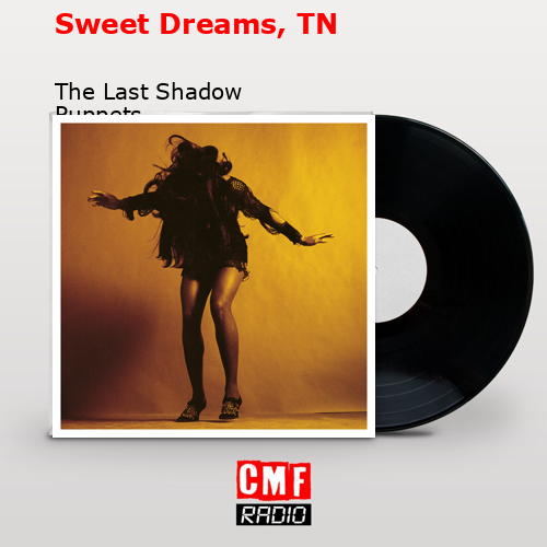 Sweet Dreams, TN – The Last Shadow Puppets