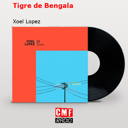 Tigre de Bengala – Xoel Lopez