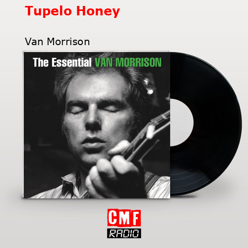 final cover Tupelo Honey Van Morrison
