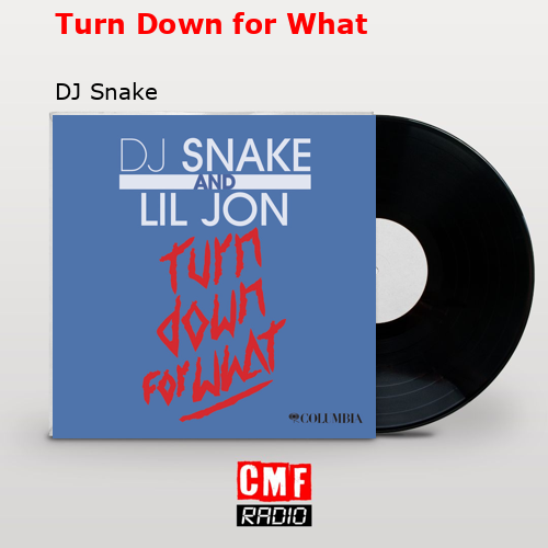 Turn Down for What – DJ Snake