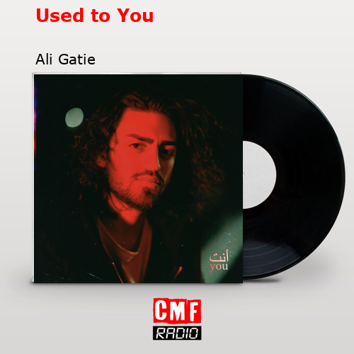 Used to You – Ali Gatie