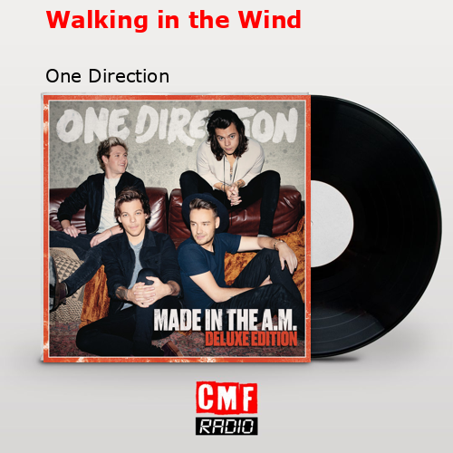 Walking in the Wind – One Direction