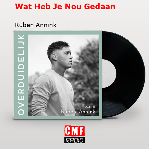 final cover Wat Heb Je Nou Gedaan Ruben Annink