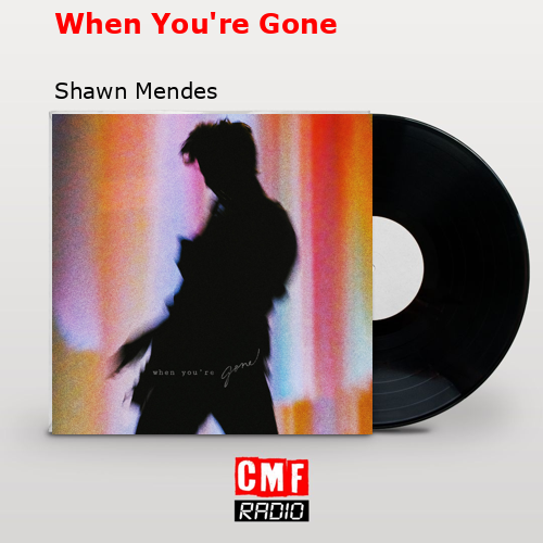 When You’re Gone – Shawn Mendes