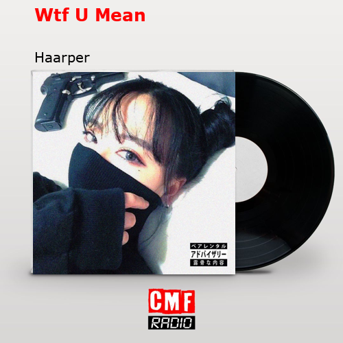 final cover Wtf U Mean Haarper