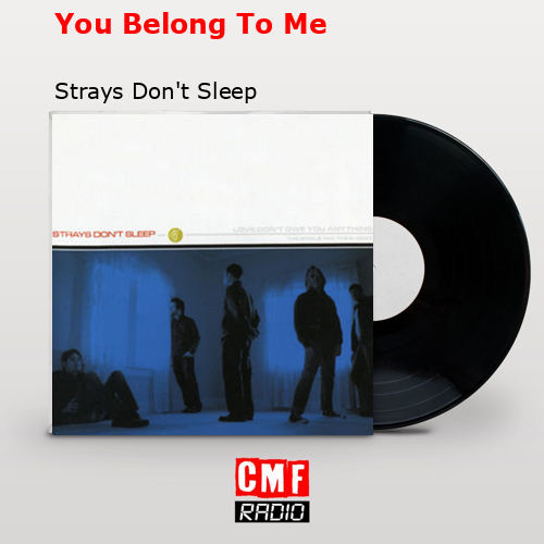 You Belong To Me – Strays Don’t Sleep