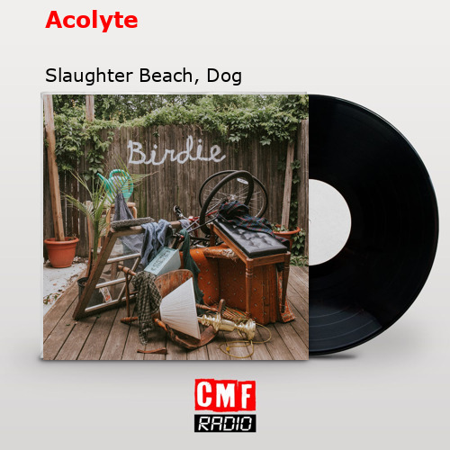 Acolyte – Slaughter Beach, Dog
