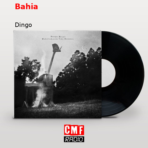Bahia – Dingo