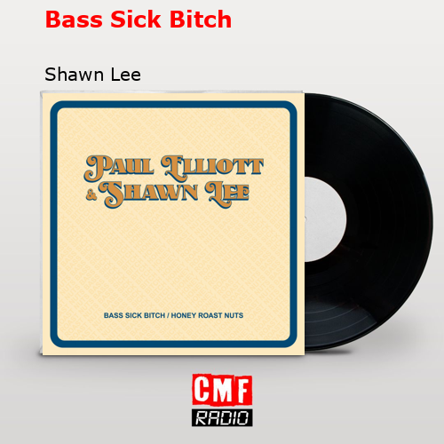 Bass Sick Bitch – Shawn Lee
