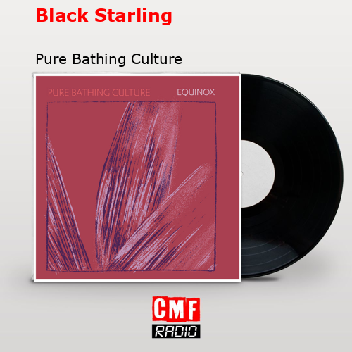 Black Starling – Pure Bathing Culture