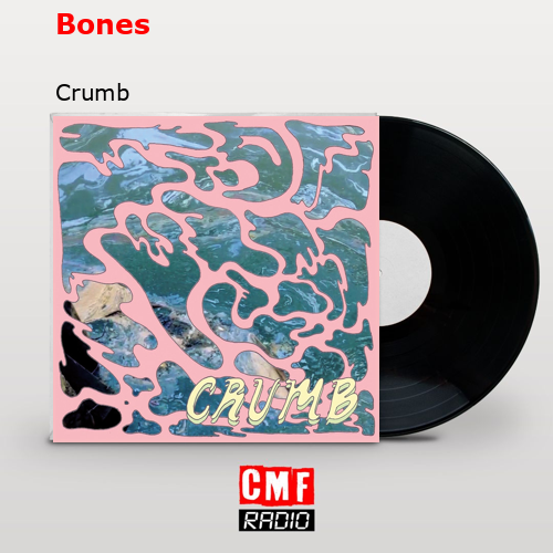 Bones – Crumb