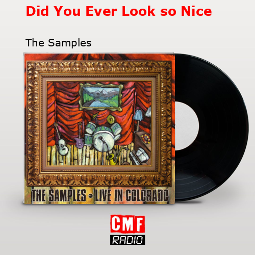 Did You Ever Look so Nice – The Samples