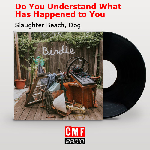 Do You Understand What Has Happened to You – Slaughter Beach, Dog