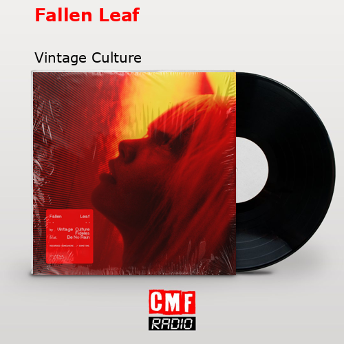 Fallen Leaf – Vintage Culture