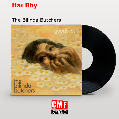 final cover Hai Bby The Bilinda Butchers