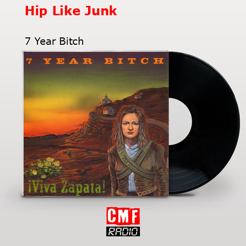 Hip Like Junk – 7 Year Bitch