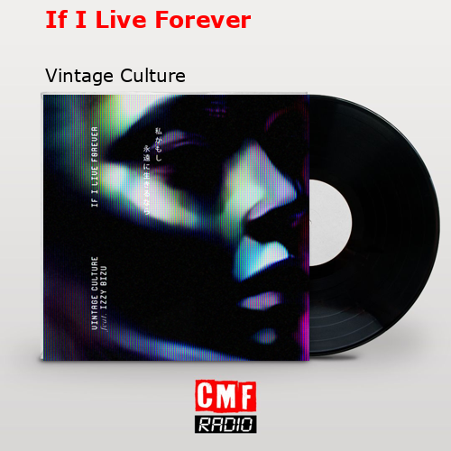 If I Live Forever – Vintage Culture