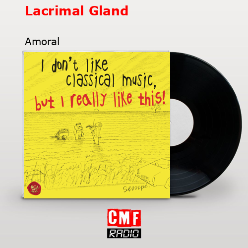 Lacrimal Gland – Amoral