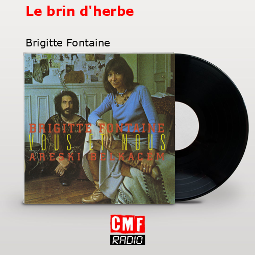 final cover Le brin dherbe Brigitte Fontaine