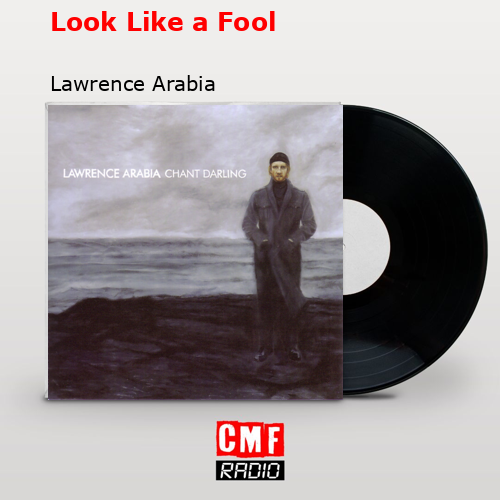 final cover Look Like a Fool Lawrence Arabia