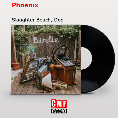 Phoenix – Slaughter Beach, Dog