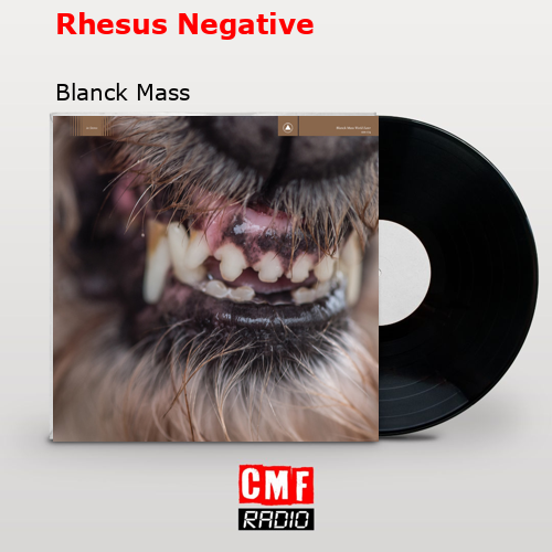 final cover Rhesus Negative Blanck Mass