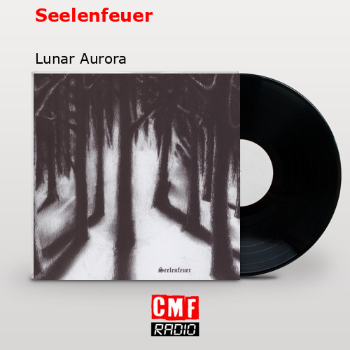 La historia y el significado de la canción 'Seelenfeuer Lunar Aurora