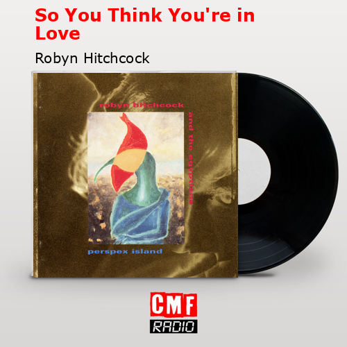 So You Think You’re in Love – Robyn Hitchcock