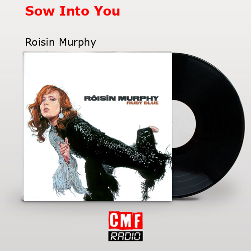 final cover Sow Into You Roisin Murphy