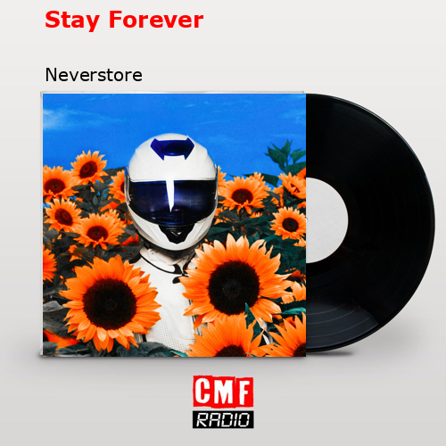 La Historia Y El Significado De La Canción Stay Forever Neverstore