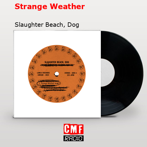 Strange Weather – Slaughter Beach, Dog