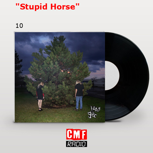 «Stupid Horse» – 10
