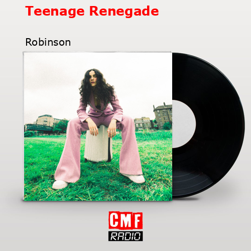 Teenage Renegade – Robinson