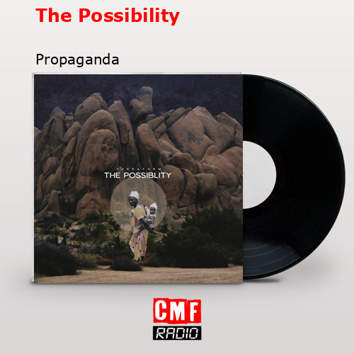 final cover The Possibility Propaganda