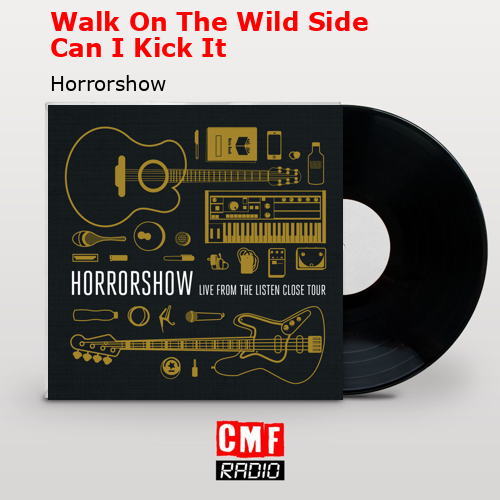 La historia y el significado de la canción 'Walk On The Wild Side Can I