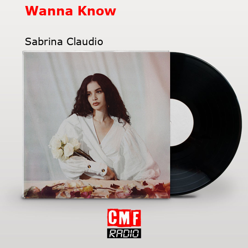 Wanna Know – Sabrina Claudio