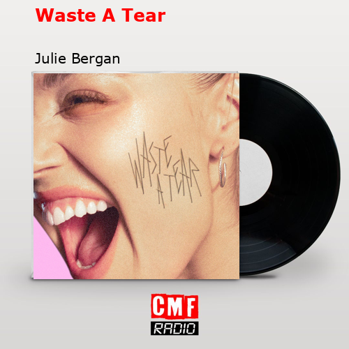 final cover Waste A Tear Julie Bergan