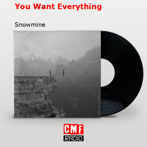 final cover You Want Everything Snowmine