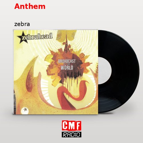 Anthem – zebra