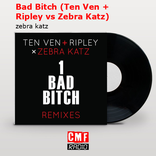 Bad Bitch (Ten Ven + Ripley vs Zebra Katz) – zebra katz