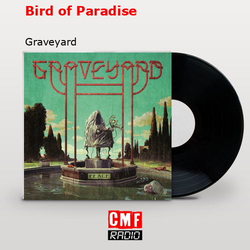 Bird of Paradise – Graveyard