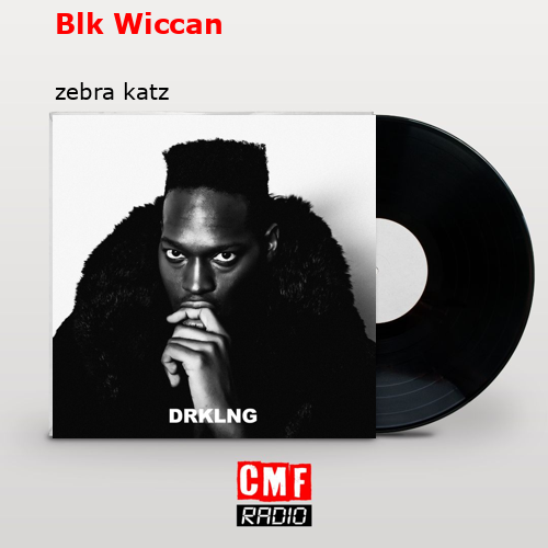 Blk Wiccan – zebra katz