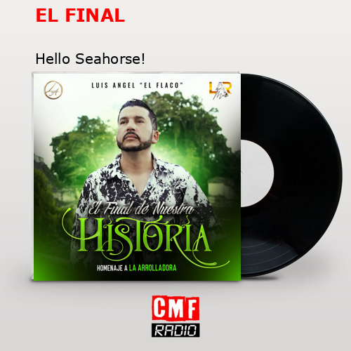 EL FINAL – Hello Seahorse!