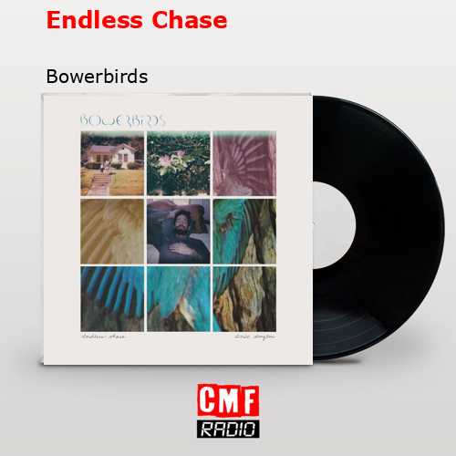 Endless Chase – Bowerbirds