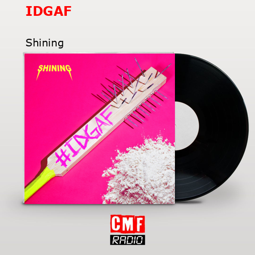 final cover IDGAF Shining