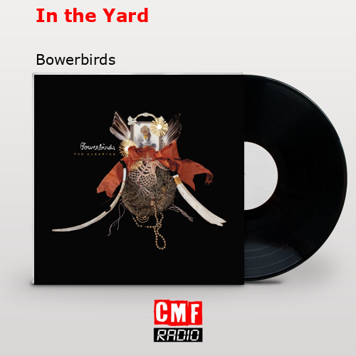 In the Yard – Bowerbirds