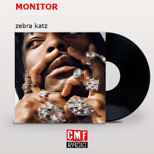 MONITOR – zebra katz